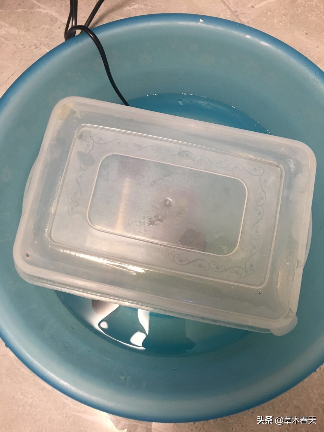 新手怎么治乌龟的腐甲,咋治乌龟腐皮呢