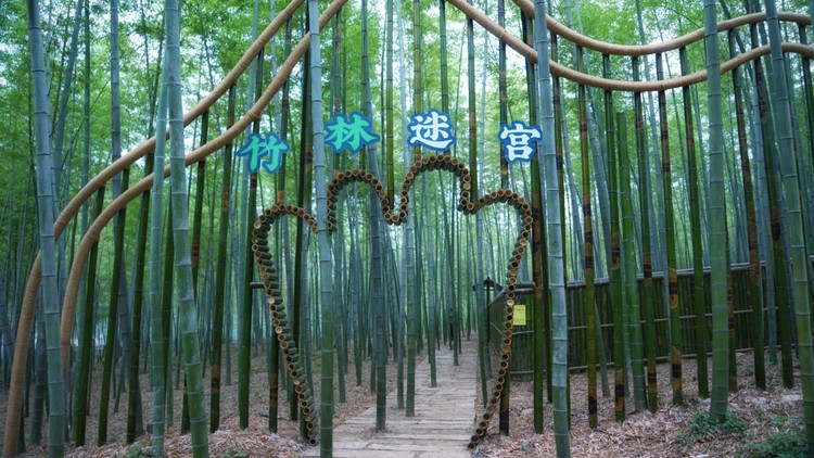 茅山宝盛园周边游玩,茅山宝盛园所有游乐设施