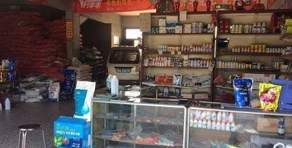 回农村创业项目,大学生回农村创业