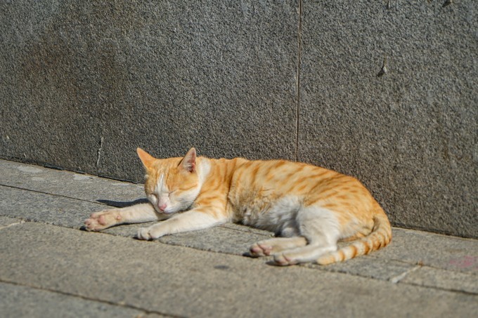 白金五星酒店,中国有哪几家白金五星酒店