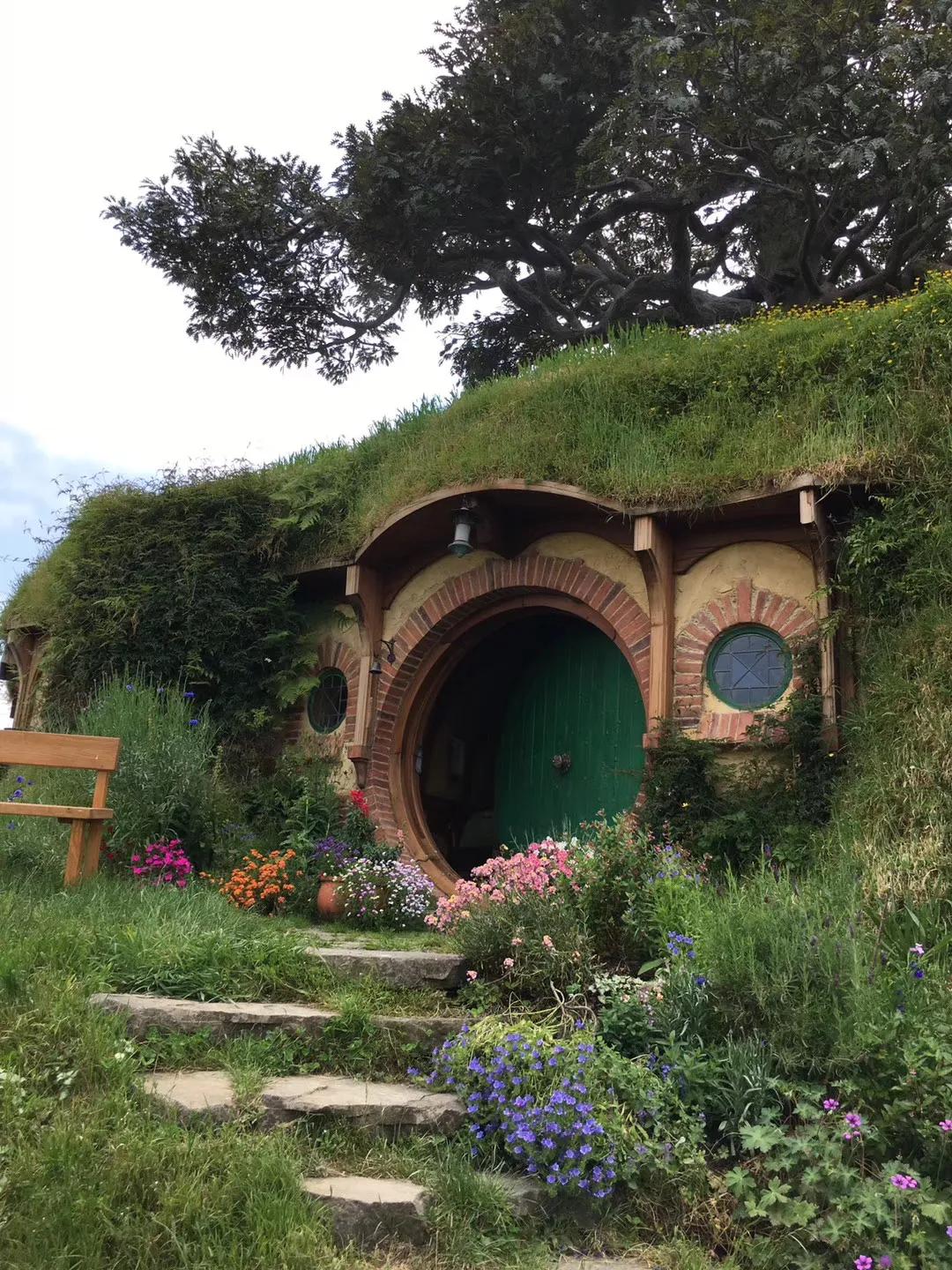 记忆中的旅行之新西兰（北岛）