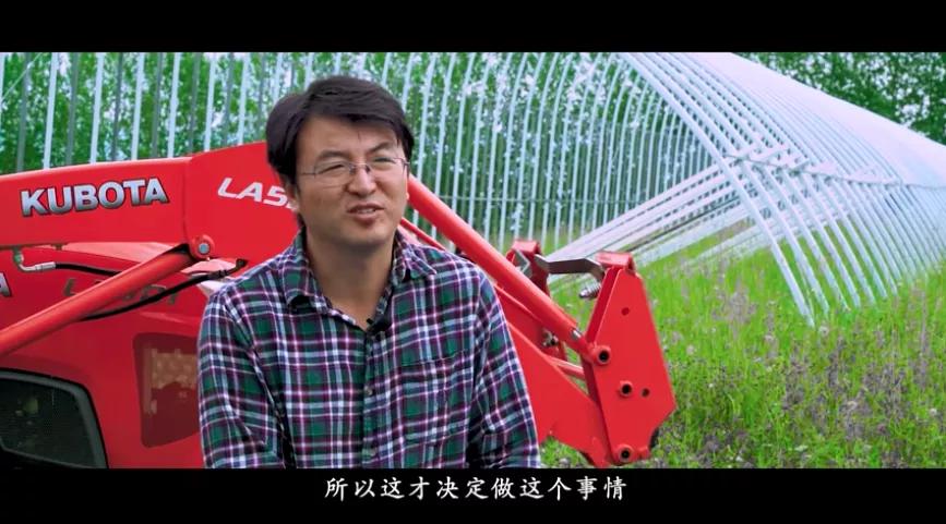 北大学生回国种菜,一位北大毕业生在加拿大种菜