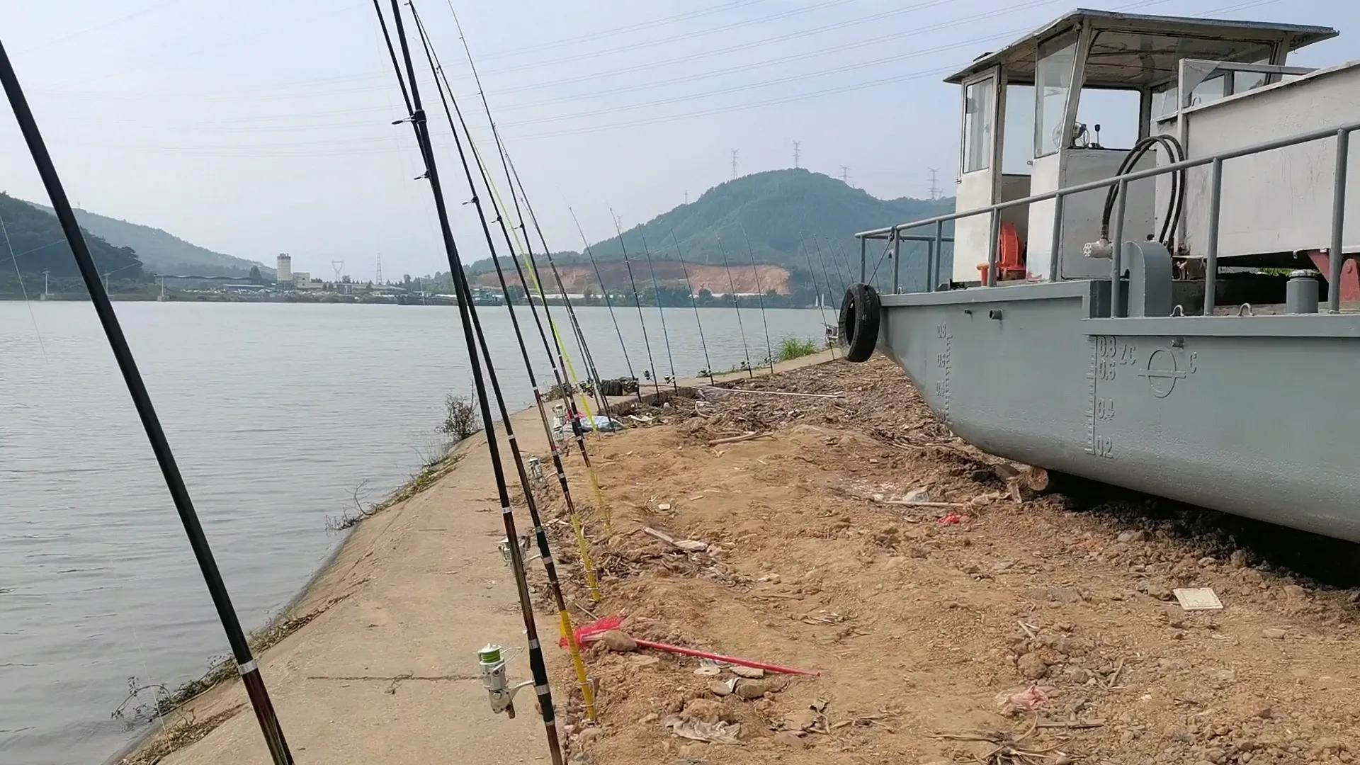 冬天用海竿钓鲤鱼用什么饵,冬天钓鲫鱼调漂最灵敏的方法