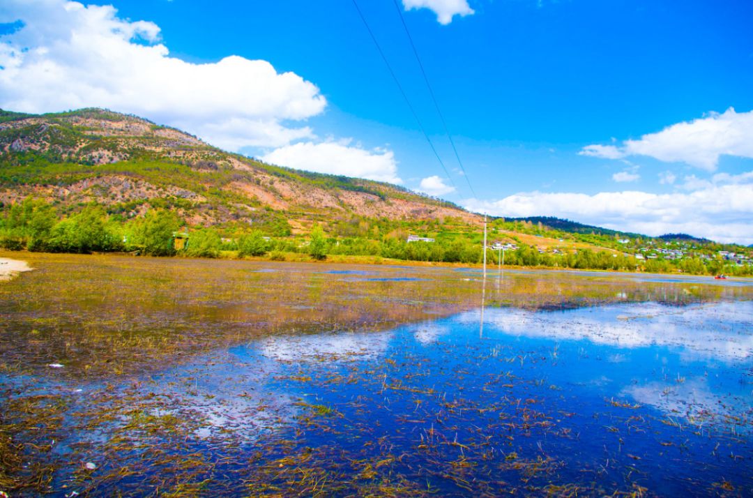 去云南自驾游有哪些景点最美,云南最美打卡景点