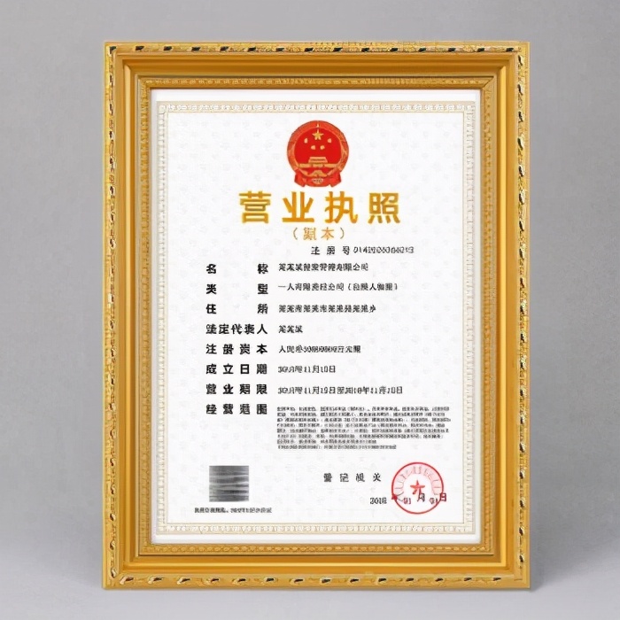 泉州营业执照网上注册流程,福建泉州如何网上注册公司