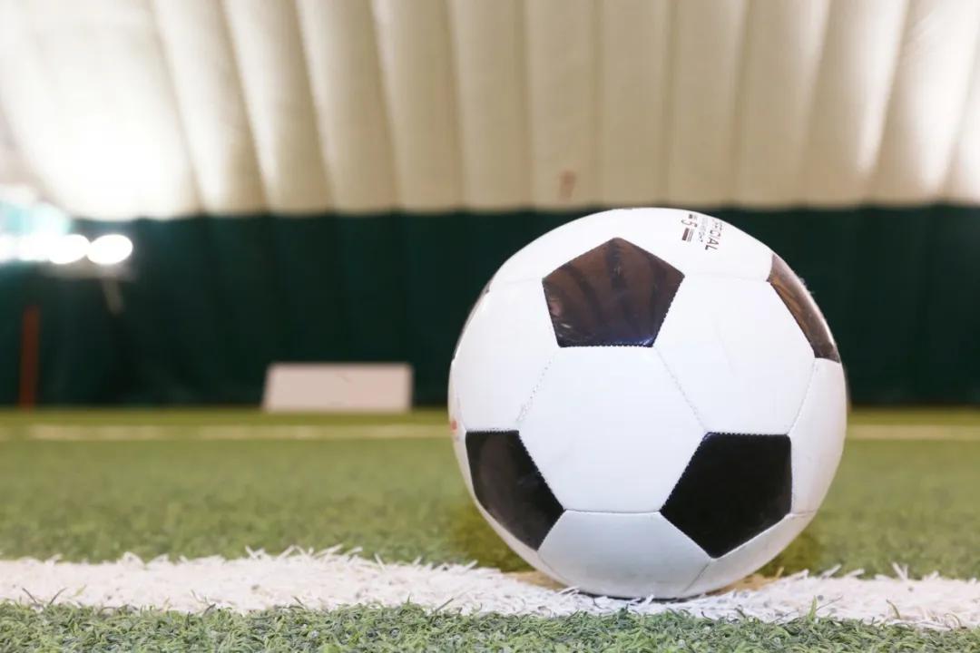 最简单英文绘本苍蝇小子,苍蝇小子绘本中文适合几岁看