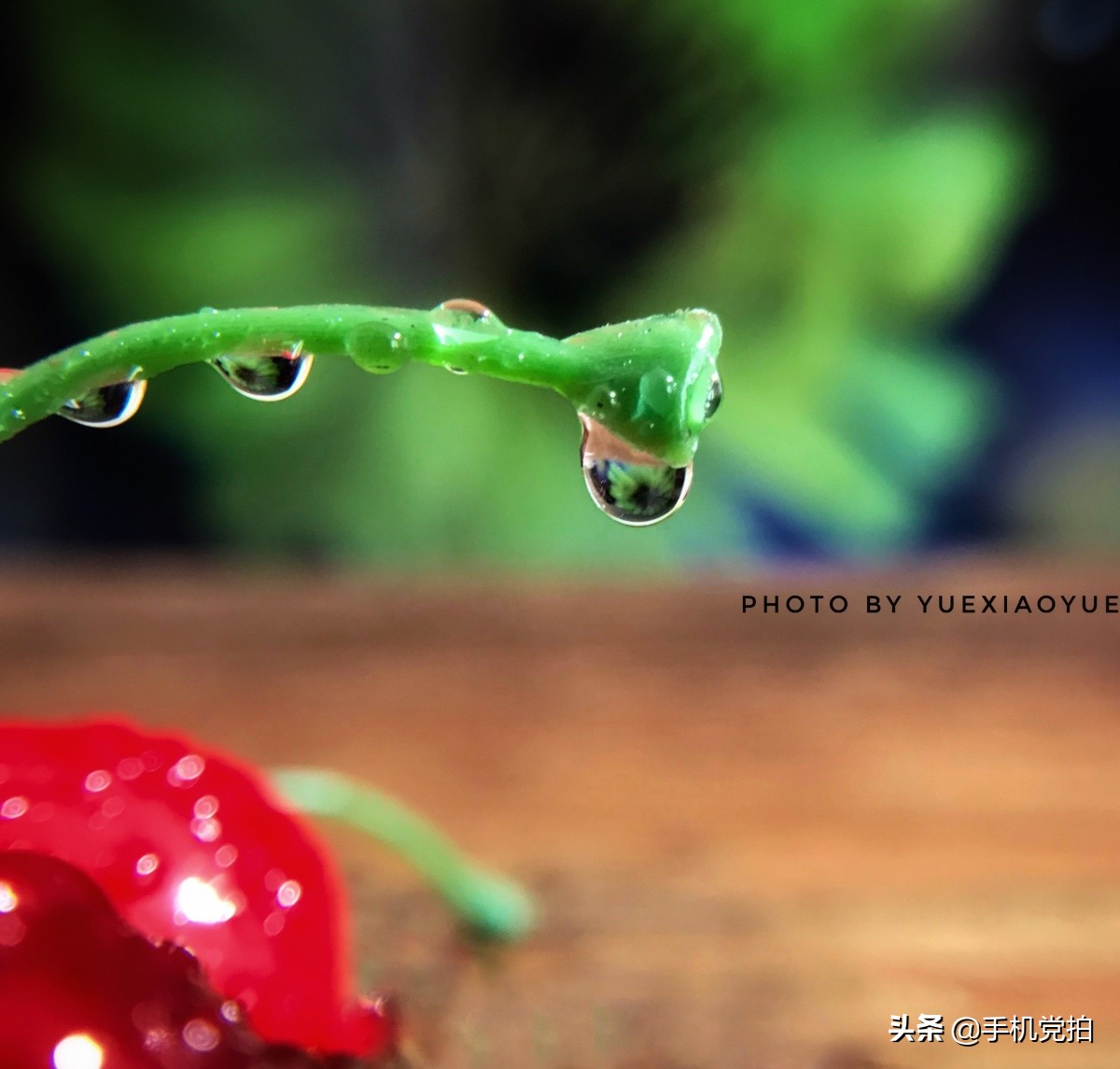 教你宅家拍氛围感大片有手就行,宅家就能轻松拍大片