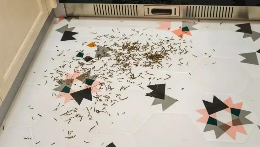 泰怡凯吸尘器测评,懒人吸尘器家用无线吸力大