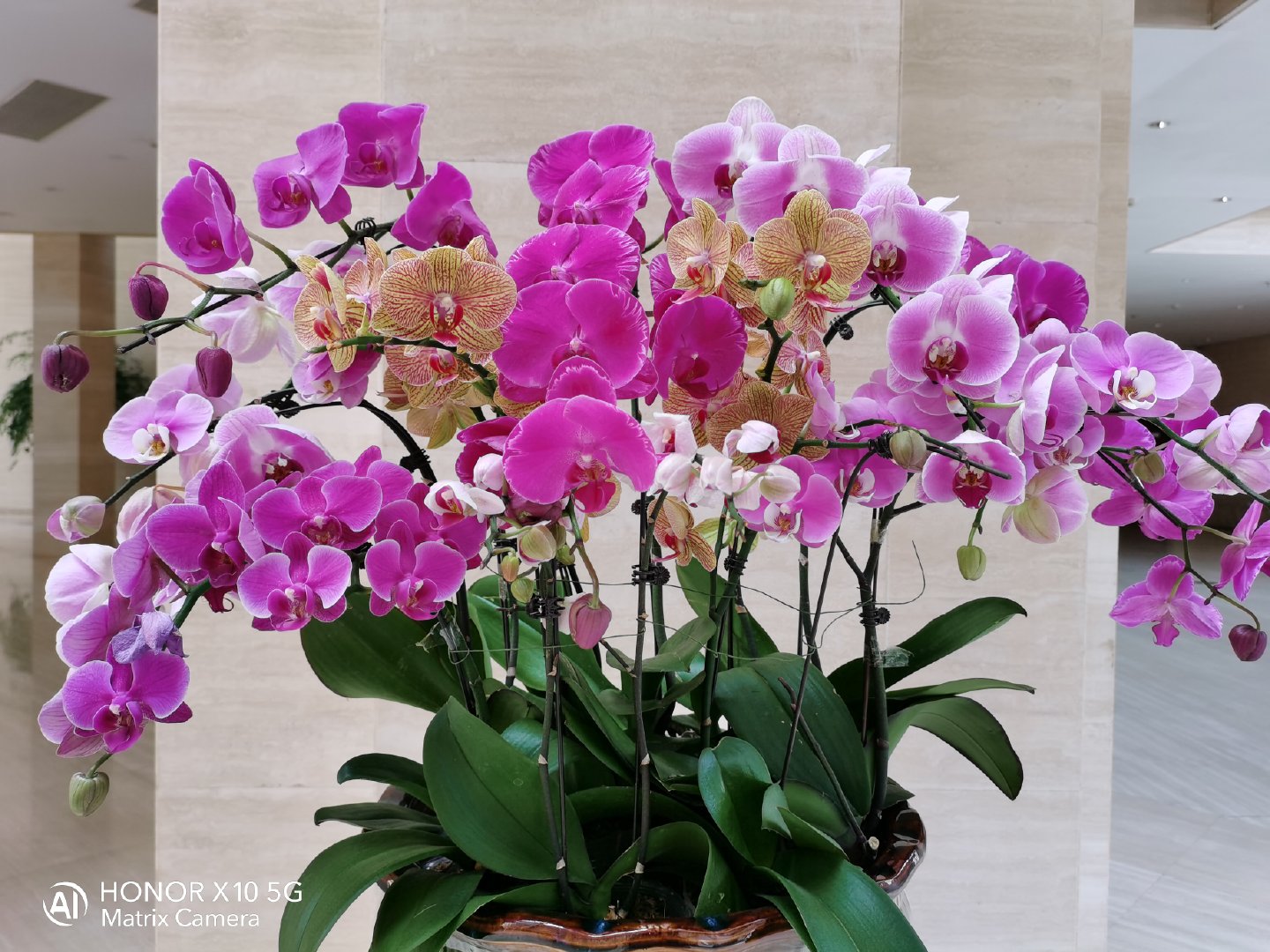 荣耀x10掀起5g风暴,荣耀x10max超能大屏5g