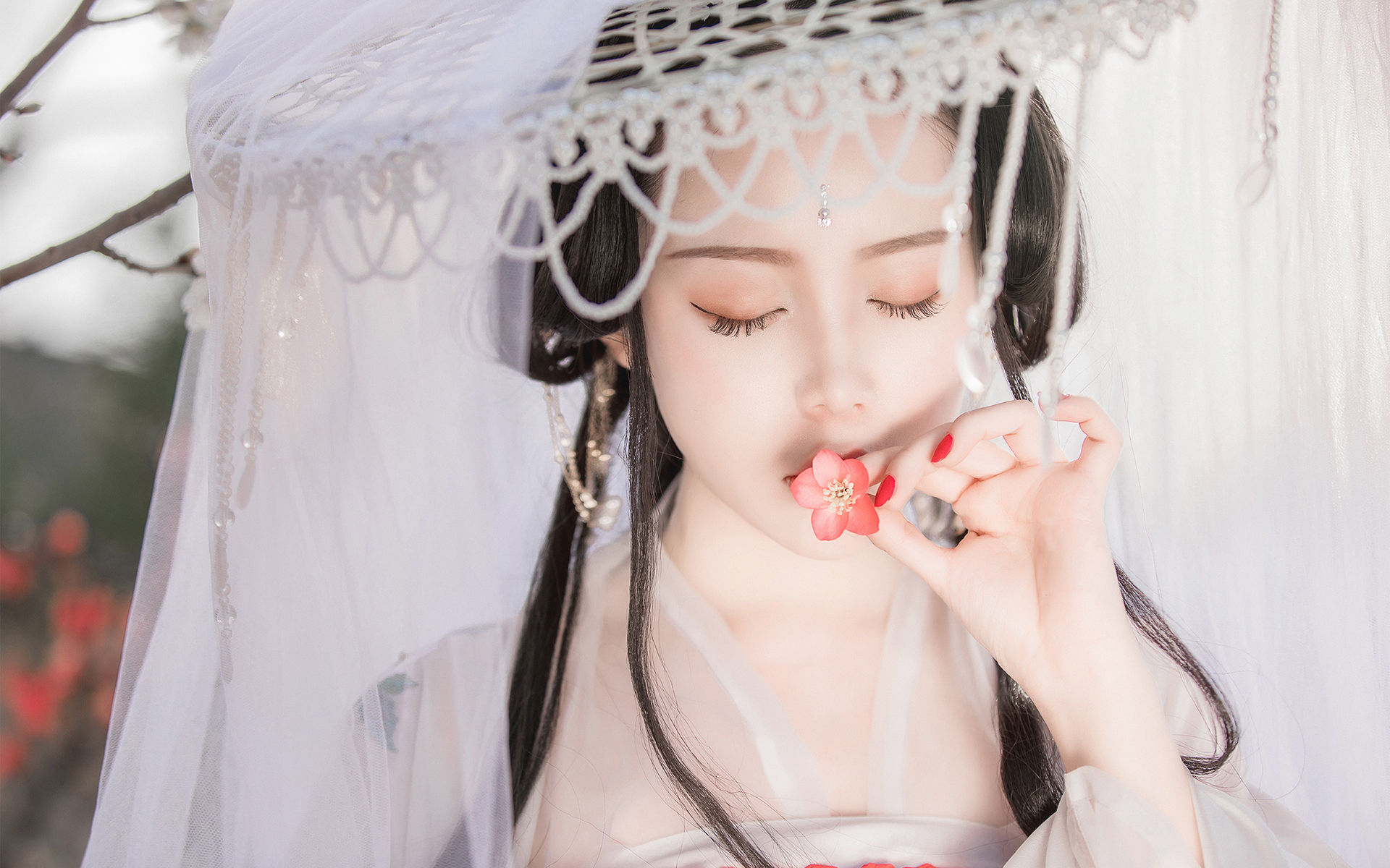 美人泪相思劫,美人画卷