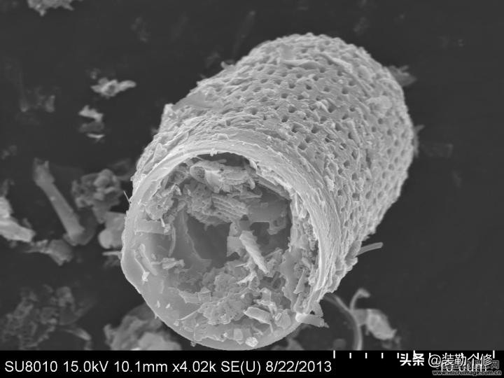 硅藻泥使用五年后的真实感受,硅藻泥是商业骗局吗