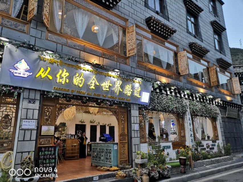 318自驾游必备药品,自驾318恶心的事