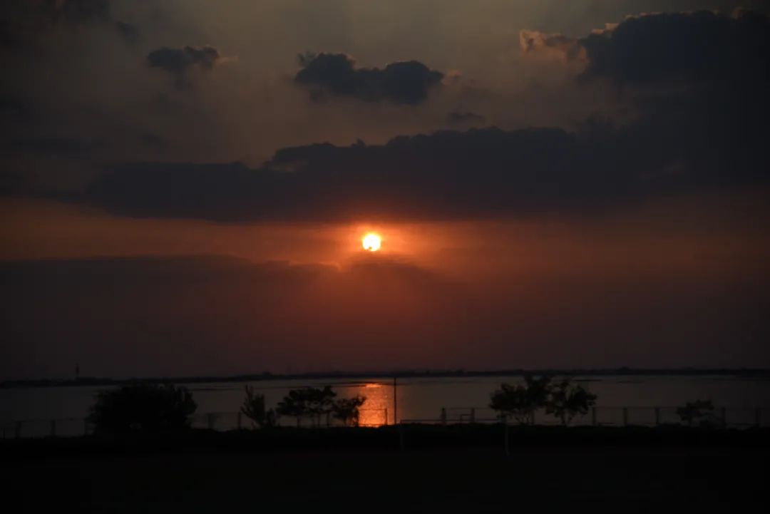 托普学院苏州,苏州托普信息职业技术学院怎么样