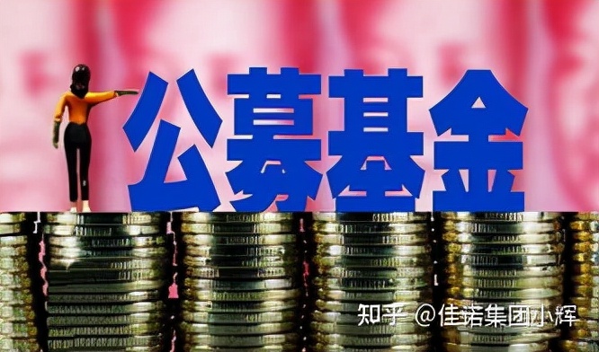 怎么定义基金公司,什么是基金投资公司