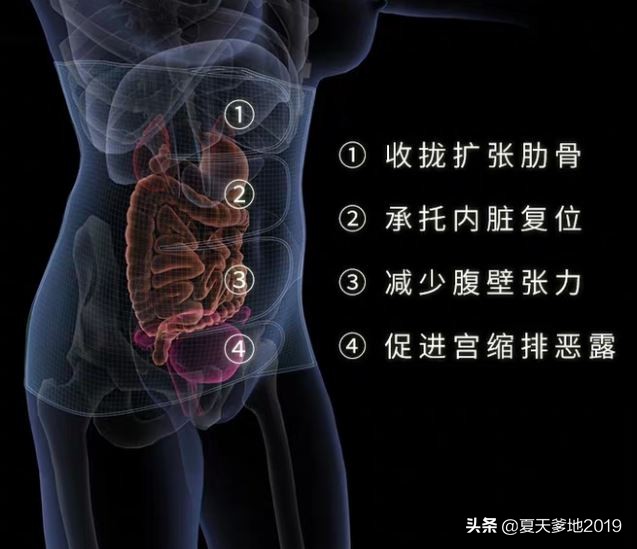 产后收腹带应该怎么选择,产后收腹带好用的