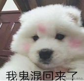 广东省考公务员职位选择,怎样知道公务员考试要考的岗位