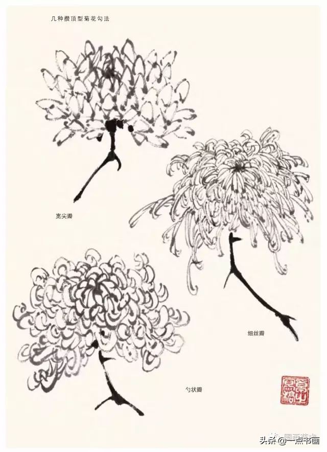 怎样画菊花国画,徐湛画菊花国画入门教程