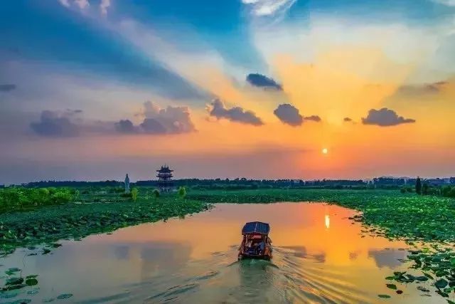 东莞麻涌美丽田园,东莞麻涌田园生活