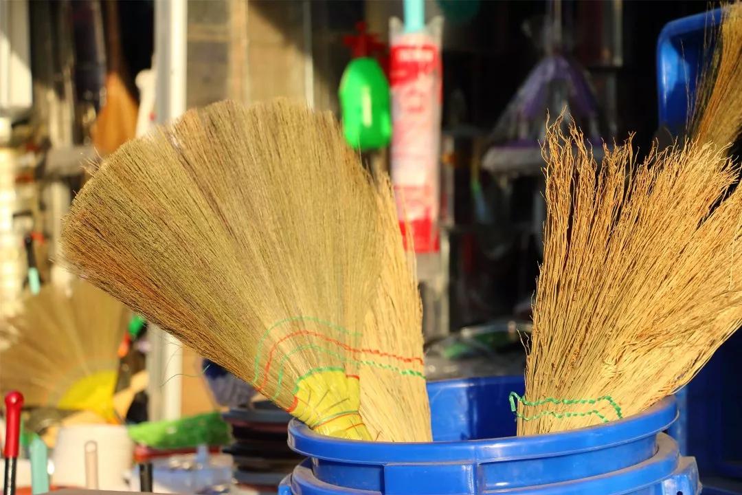 农村不起眼的野草如今100元一斤,农村这个不起眼的杂草1000元一斤