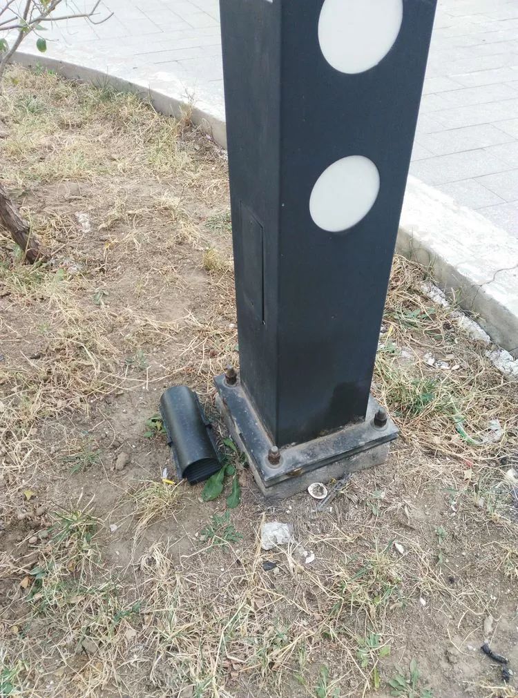 老景说事儿「小区投了老鼠药？家家户户要知道！」