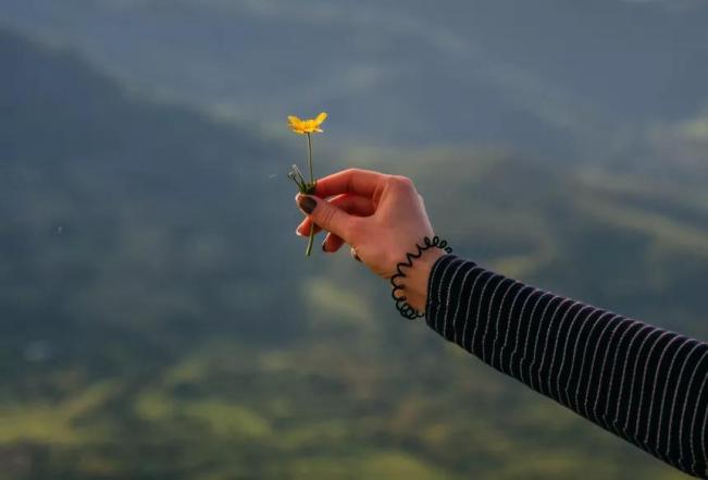 绾㈠寘鏋舵瀯璁捐,绾㈠寘绯荤粺鏋舵瀯璁捐
