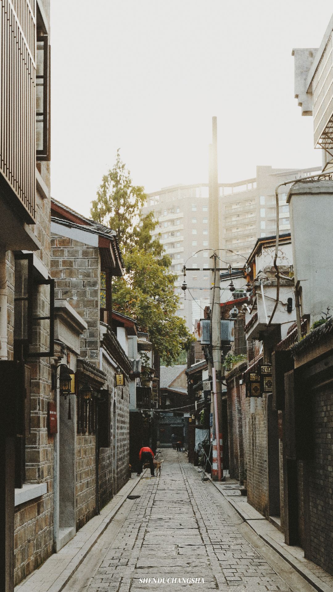 长沙旅游攻略必去的十大景点推荐,长沙旅游攻略必去十大景点免费