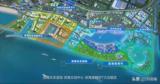 金山大金山岛开发,金山沙滩填海项目