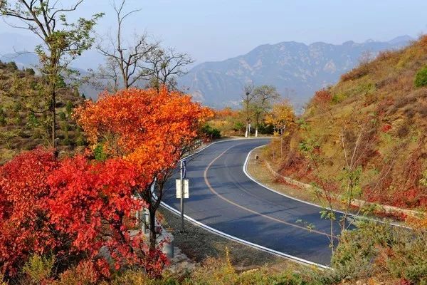 昌平最美的秋景在哪里,北京最美的秋景赏叶胜地香山公园