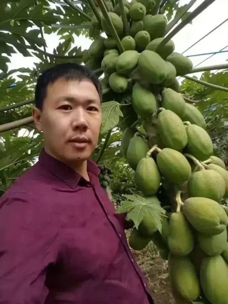 快手创作者中心怎么赚钱,快手的创作者计划可以赚钱吗