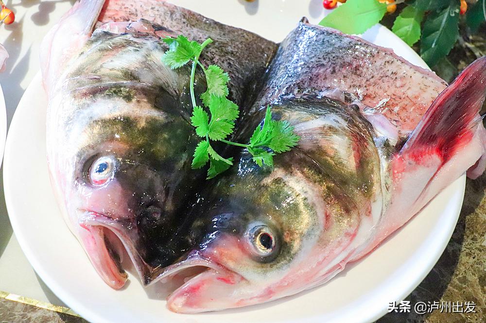 泸州回头客,泸州美蛙鱼头2人餐