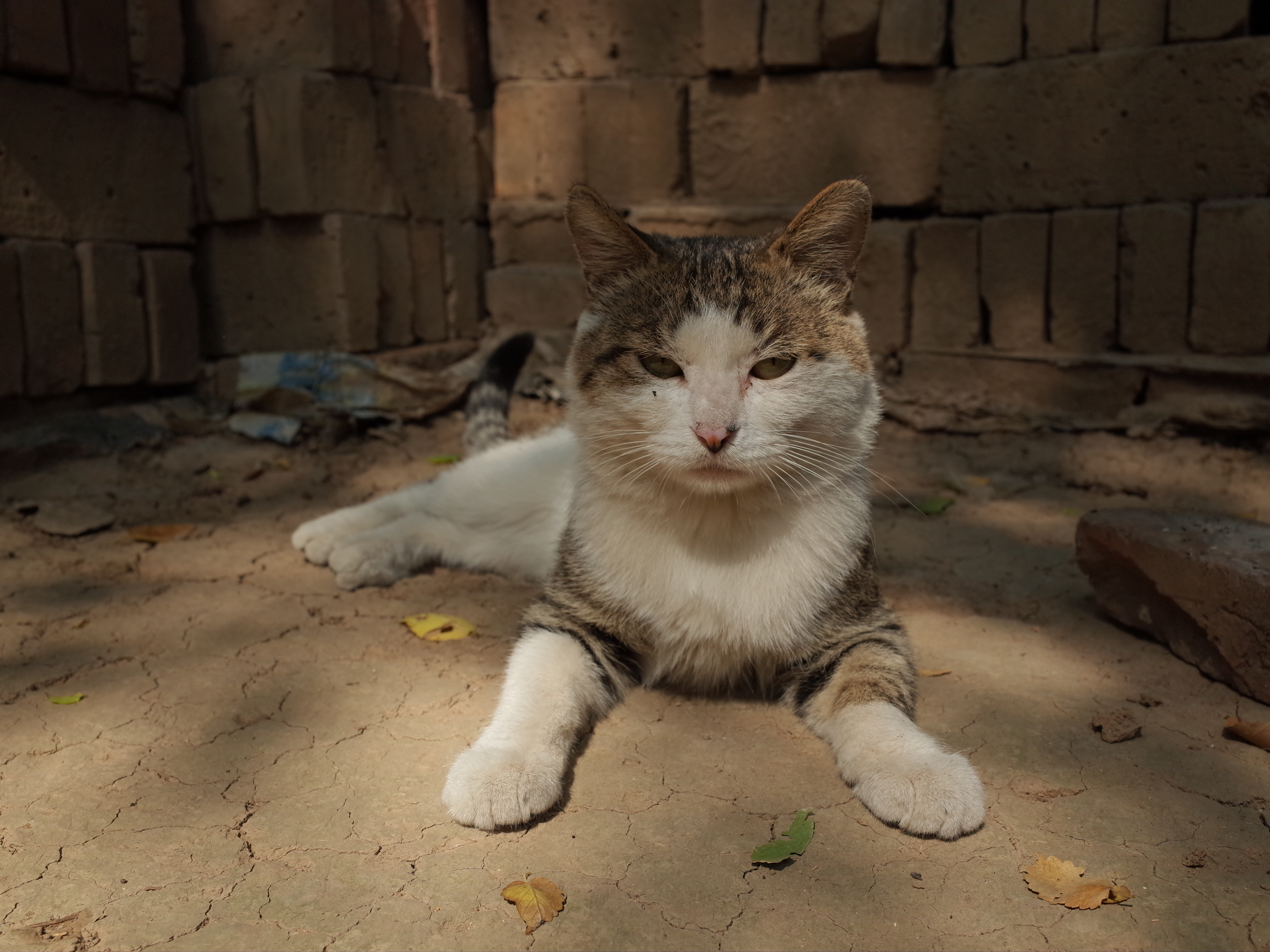 不要被器材左右，我们追求的终究还是摄影的精髓：理光GR（上）