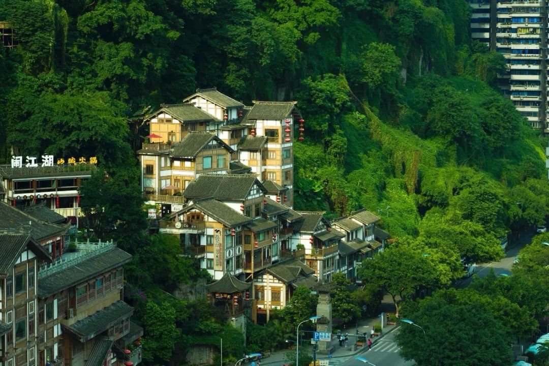 105微距镜头性价比最高的,超便宜微距镜头有哪些