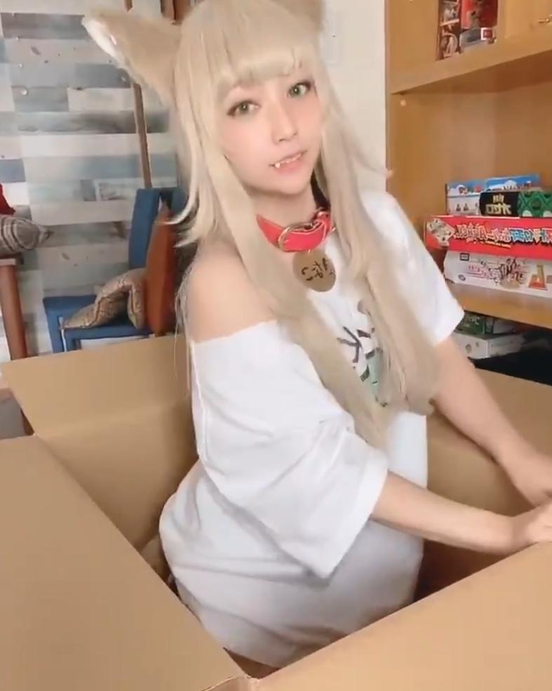 可爱的猫耳娘建模,虚拟猫耳娘形象