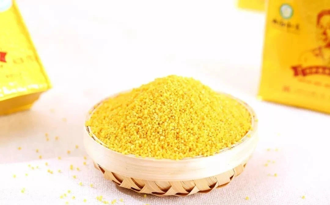 “金珠”不换的沁州黄，为什么如此受欢迎