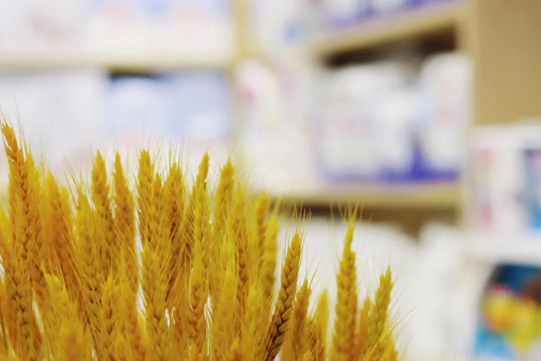 母婴网店开店技巧,母婴店怎么入行