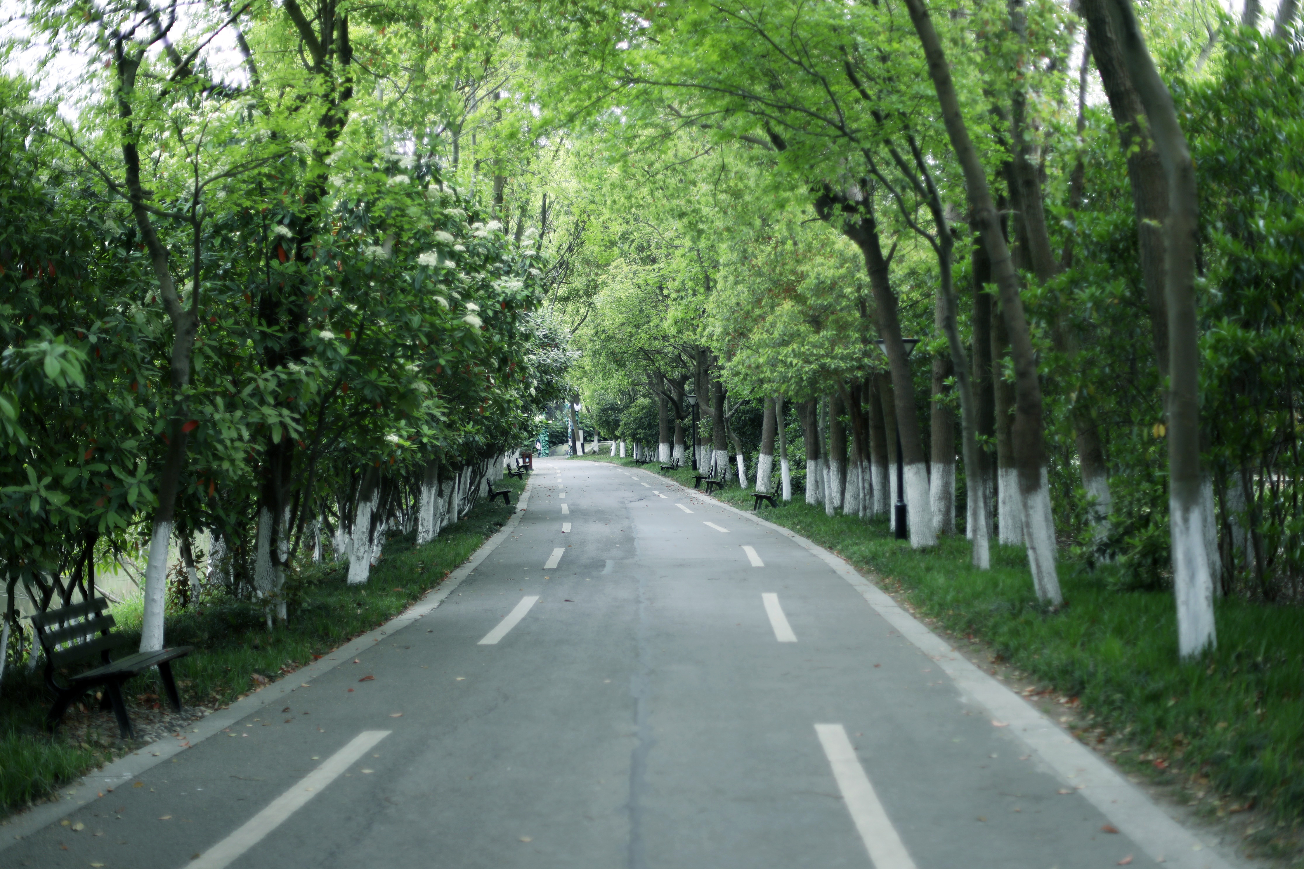 常熟沙家浜风景区游玩攻略简介,常熟沙家浜风景区游玩攻略