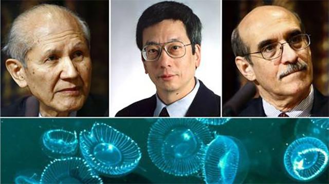 钱学森的侄子是科学家吗,钱学森的侄子获诺奖