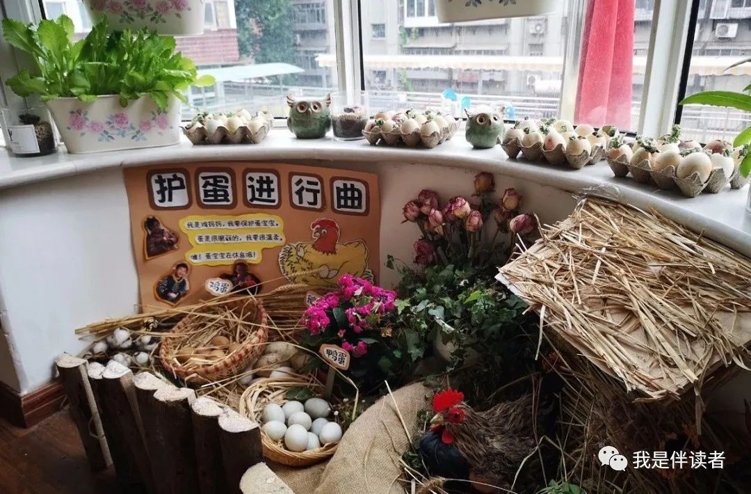 中原区公立幼儿园,郑州市中原区私立幼儿园怎么报名