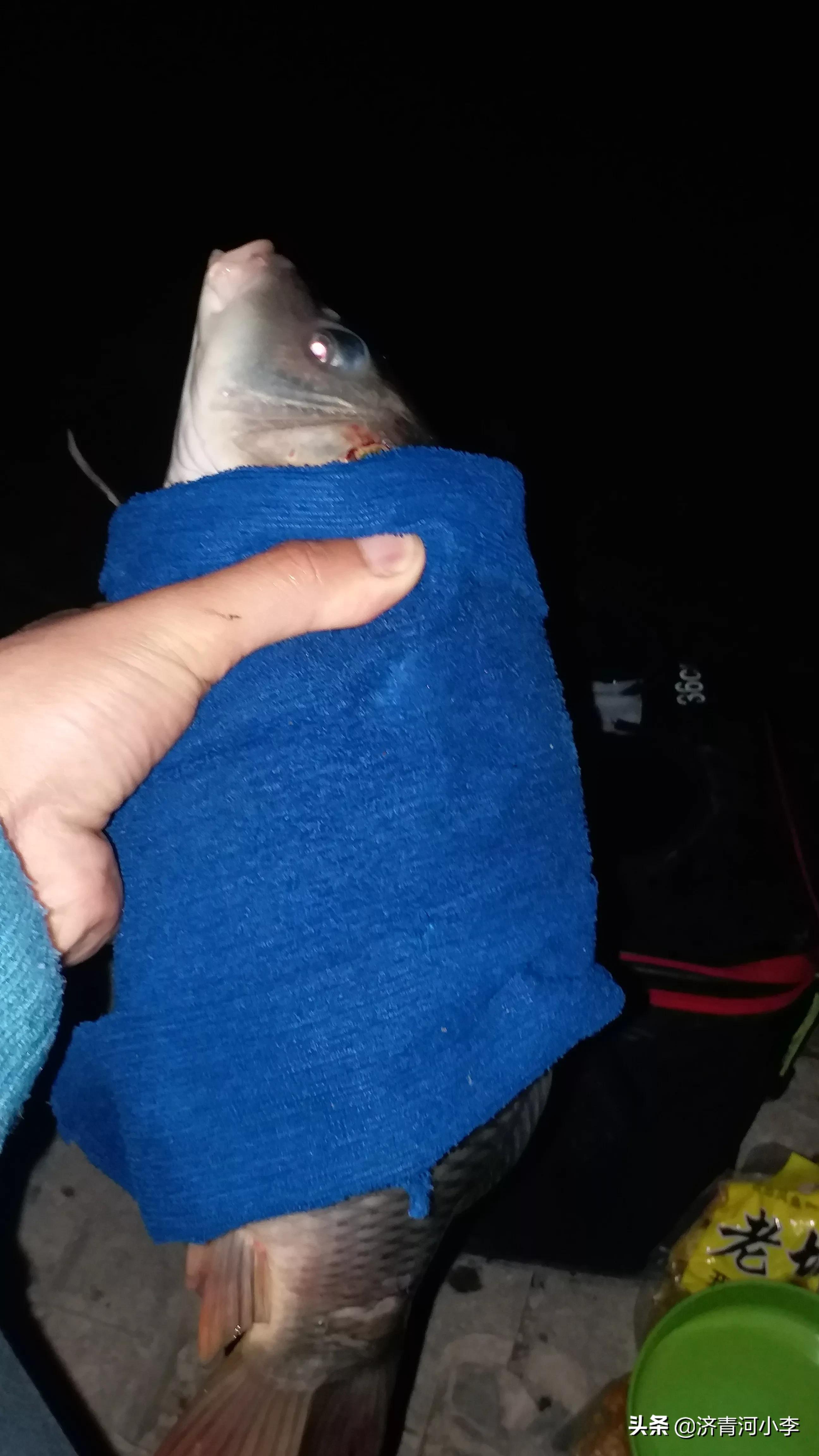 化氏湛卢夜光浮漂测评,夜光漂化氏一味