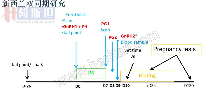 繁殖管理——使用双PG同期发情提高繁殖力