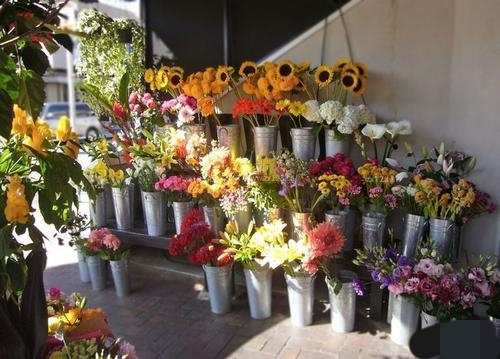 花店经营创业项目,花店创业可以做什么项目