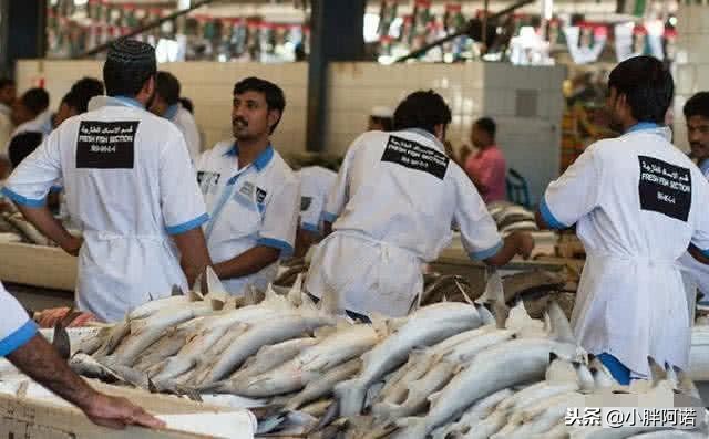 迪拜为什么成全球最富的地方,迪拜是最富有的国家吗