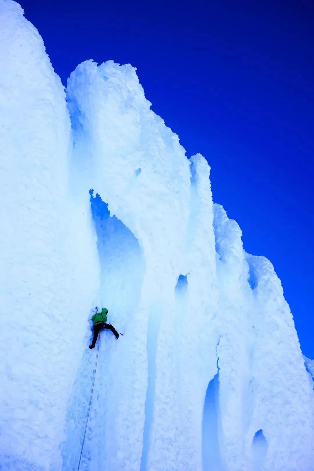 一座古墓揭开弥天大谎,弥天大谎电影情节介绍