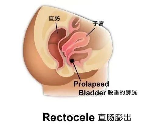 马伊琍微博发表文字,马伊琍转发