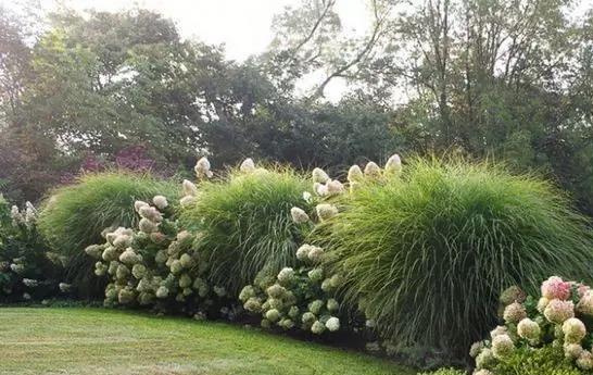 香茅精油驱蚊液喷剂,日本香茅精油驱蚊液