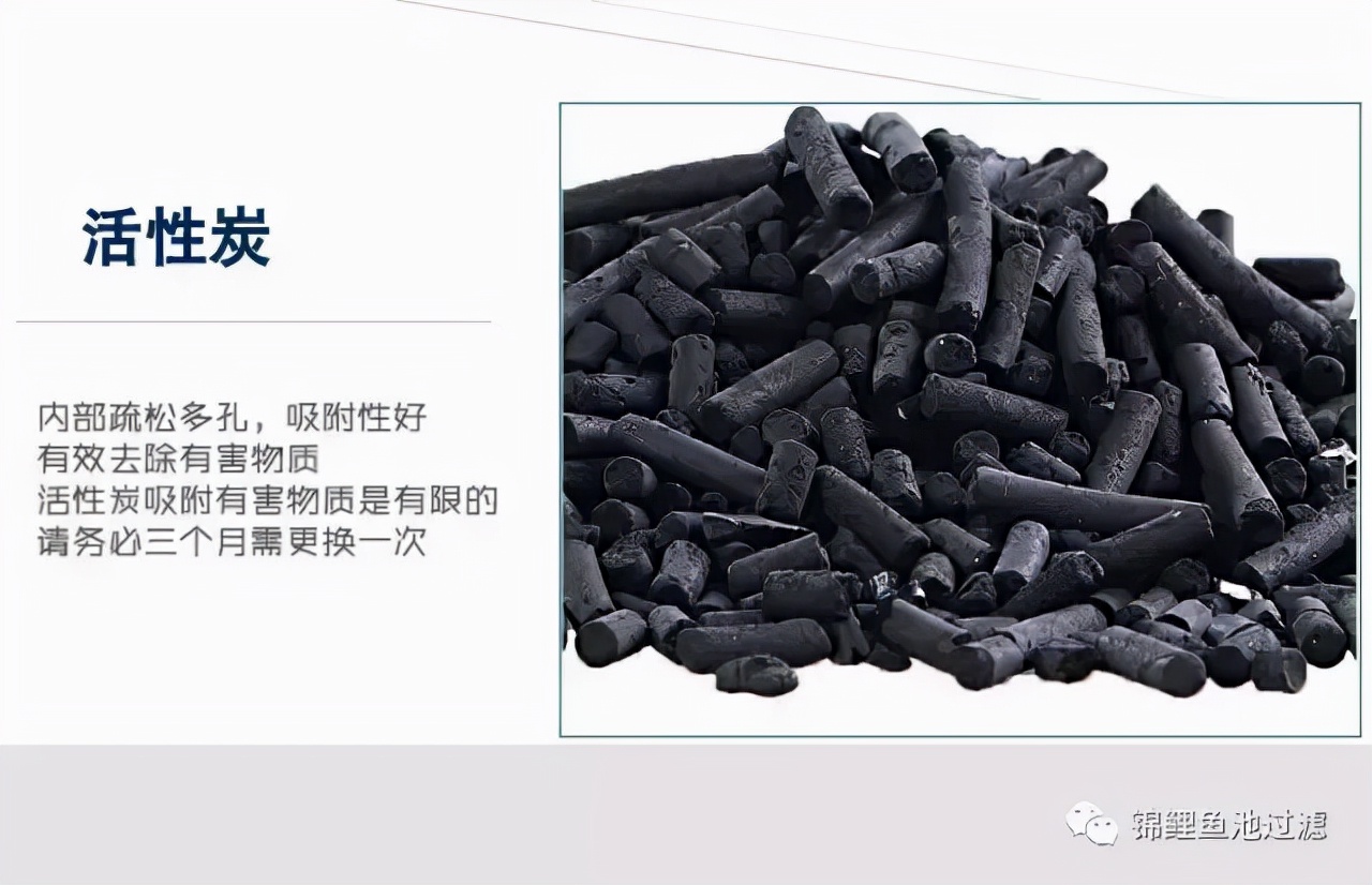 养锦鲤用过滤桶过滤系统,锦鲤鱼池沼泽过滤与生物过滤