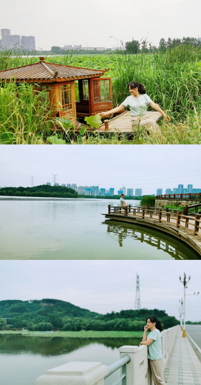 后官湖湿地公园环游,后官湖湿地公园游后感