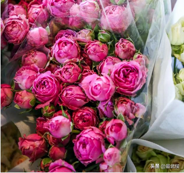 超便宜！成都铁轨下的花市5元买回一个春天！