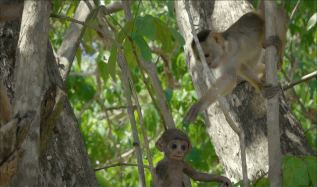 bbc有多有钱,bbc多有钱