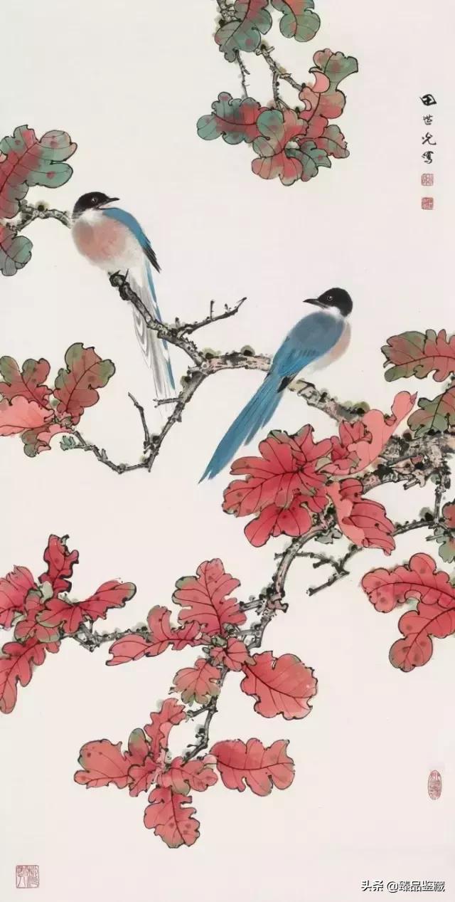 工笔大师田世光,工笔画大师田世光画孔雀好美